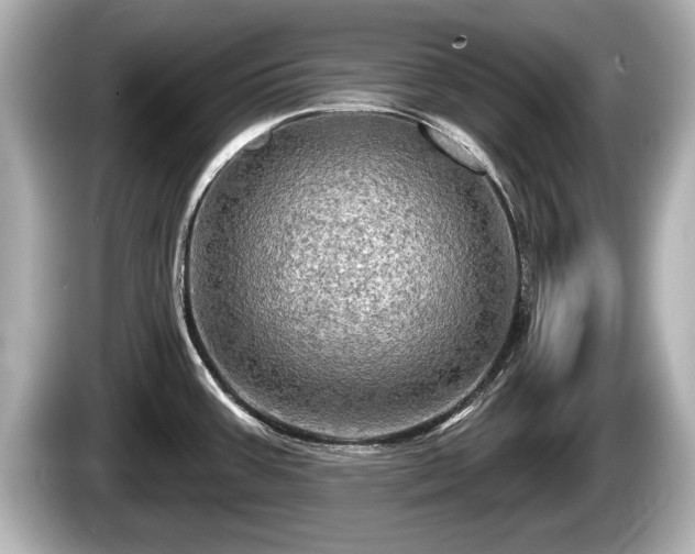 X0000085301387200703161426