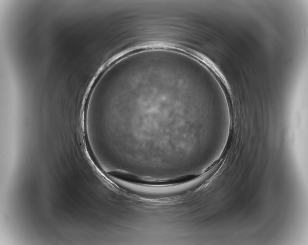 X0000085301388200703161426