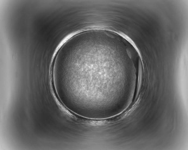 X0000085301389200703161426