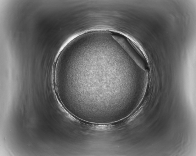 X0000085301390200703161426