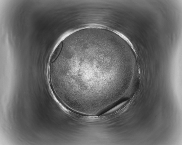 X0000085301391200703161426