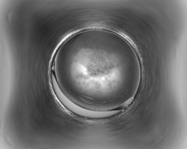 X0000085301392200703161426