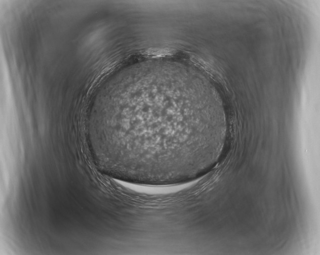 X0000085301393200703161425