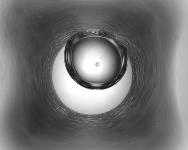 X0000085301394200703161425