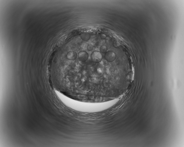 X0000085301395200703161425