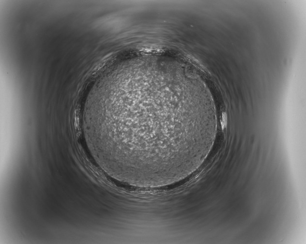 X0000085301396200703161425