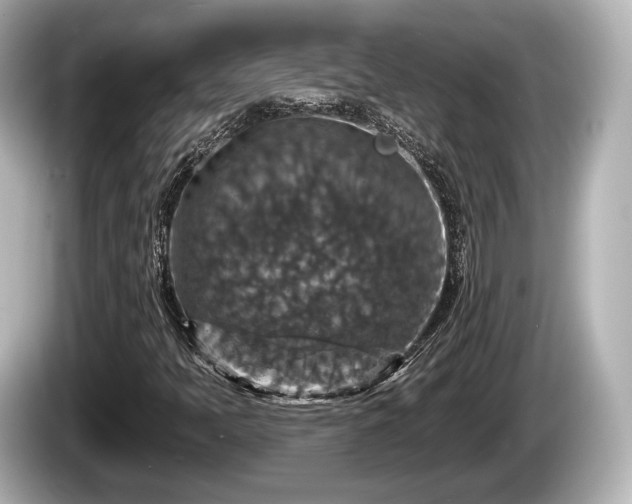 X0000085301397200703161425