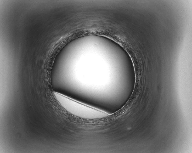 X0000085301398200703161425