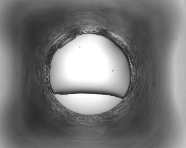 X0000085301399200703161425