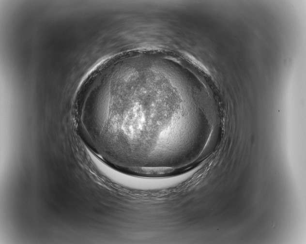 X0000085301400200703161425