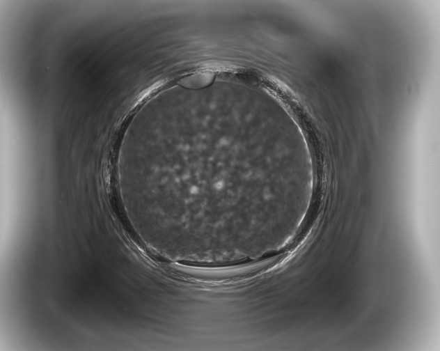 X0000085301401200703161425