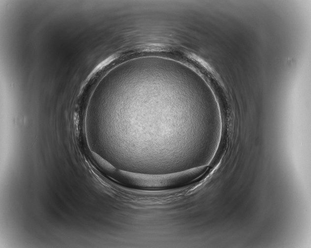 X0000085301402200703161425