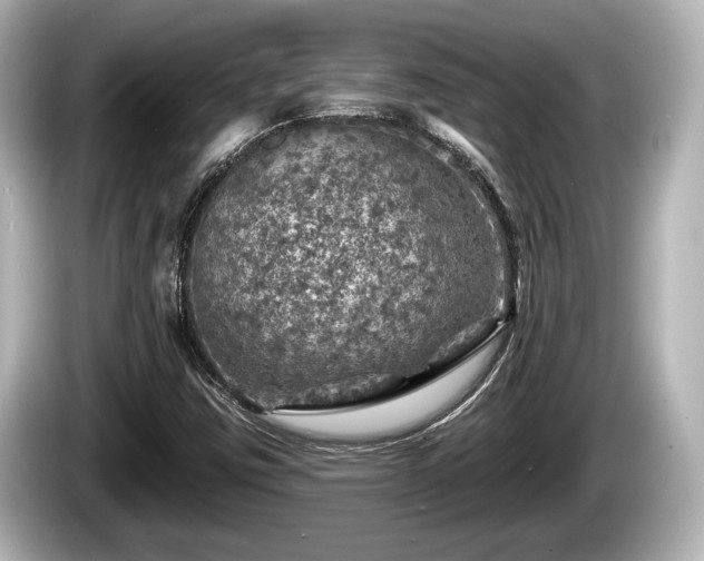 X0000085301403200703161425