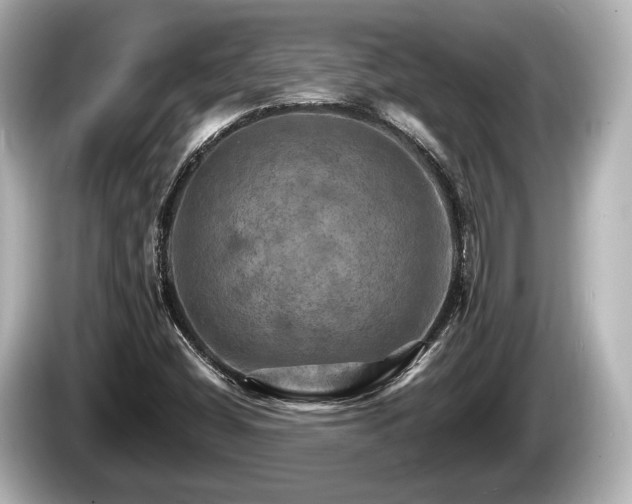 X0000085301404200703161425