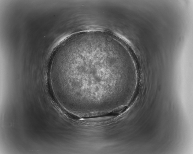 X0000085301407200703161425