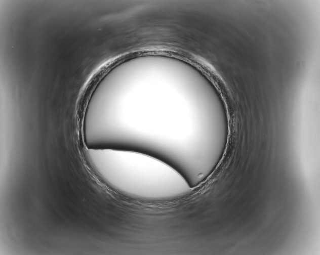 X0000085301408200703161425