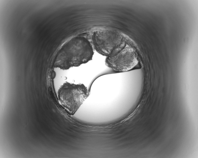 X0000085301409200703161425