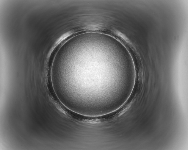 X0000085301410200703161425