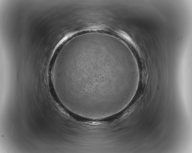 X0000085301412200703161425