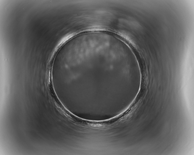 X0000085301413200703161425