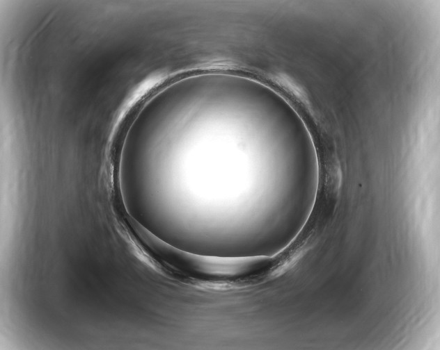 X0000085301414200703161425