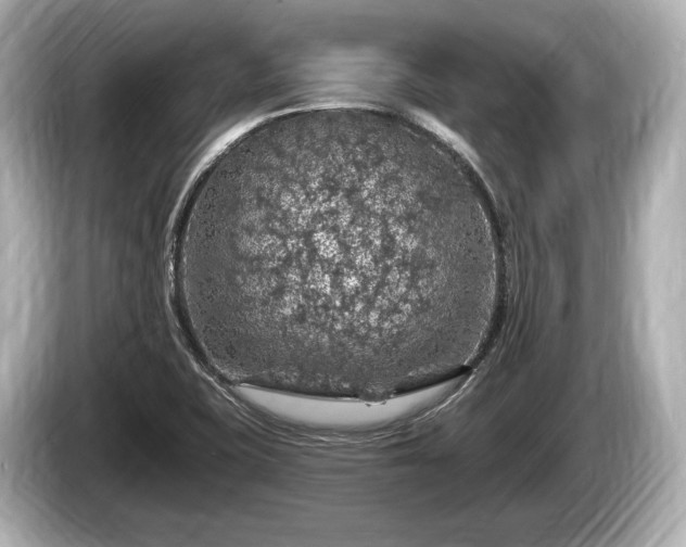 X0000085301415200703161425