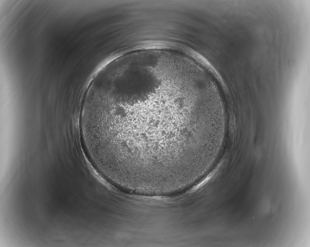 X0000085301417200703161425