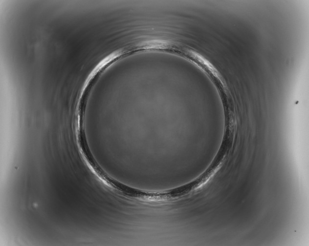 X0000085301418200703161426