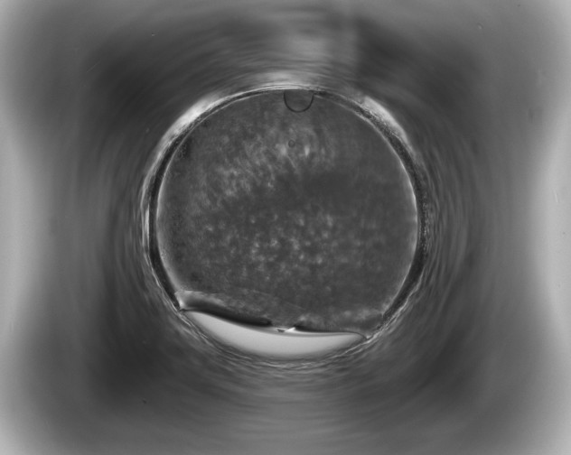 X0000085301419200703161426