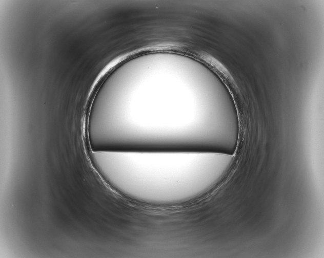 X0000085301420200703161426