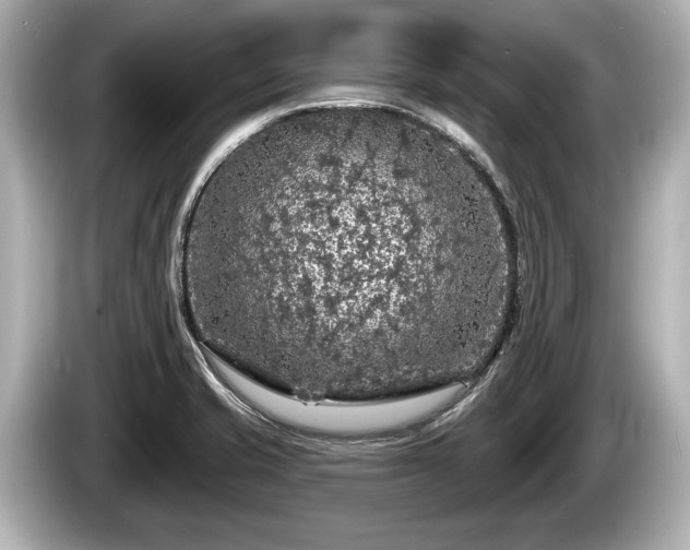 X0000085301421200703161426