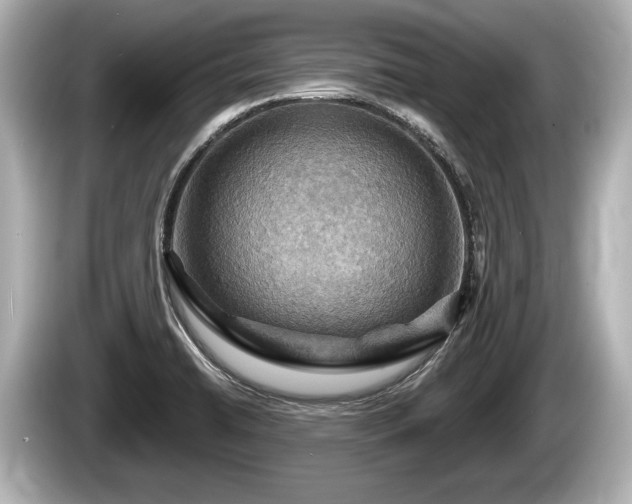 X0000085301422200703161426