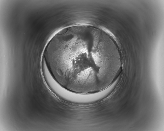 X0000085301423200703161426