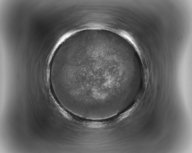 X0000085301424200703161426