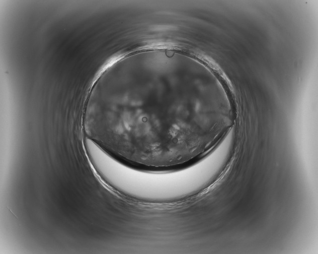 X0000085301425200703161426