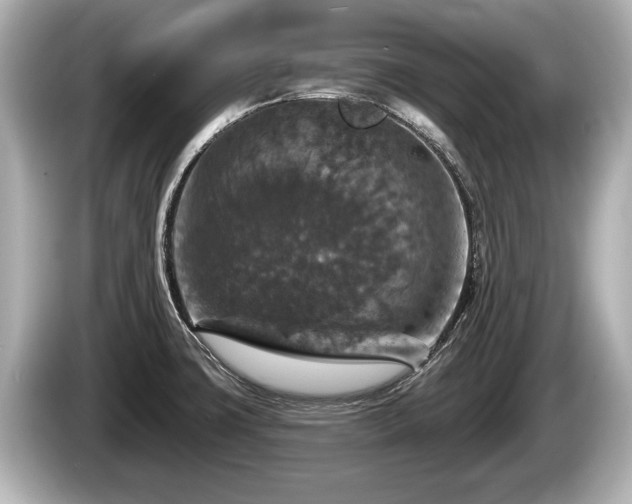 X0000085301427200703161426