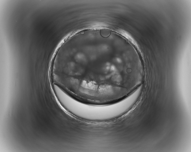 X0000085301429200703161426