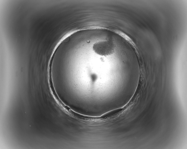 X0000085301431200703161426