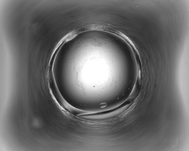 X0000085301434200703161426