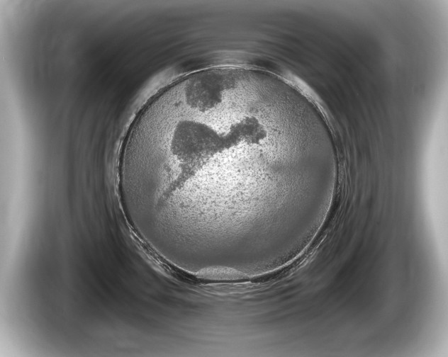 X0000085301435200703161426