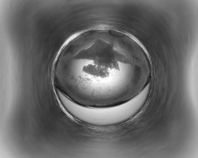 X0000085301437200703161426