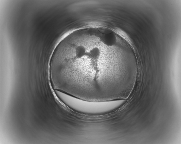 X0000085301439200703161426