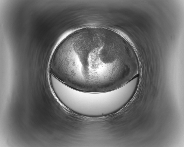 X0000085301440200703161426