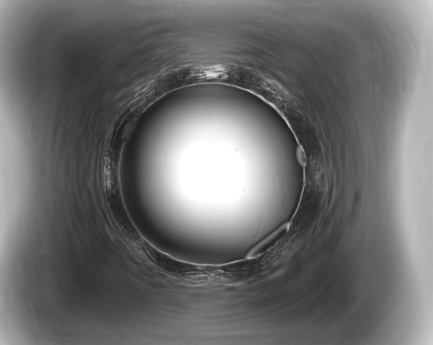 X0000085301442200703161425