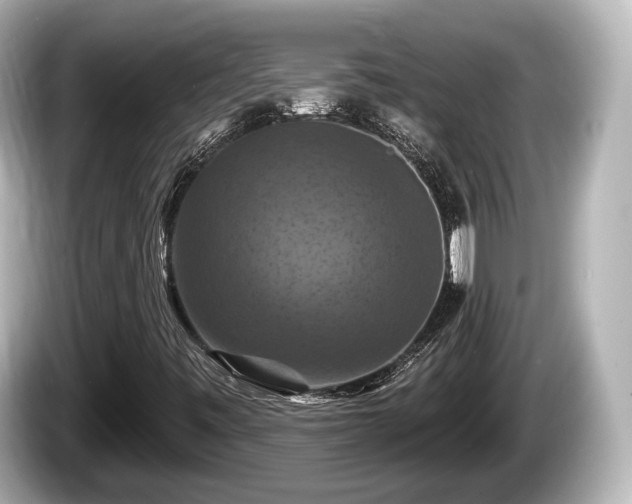 X0000085301443200703161425