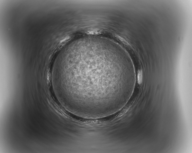 X0000085301444200703161425