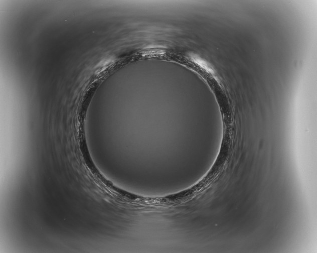 X0000085301445200703161425