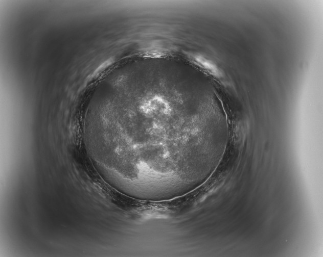 X0000085301446200703161425