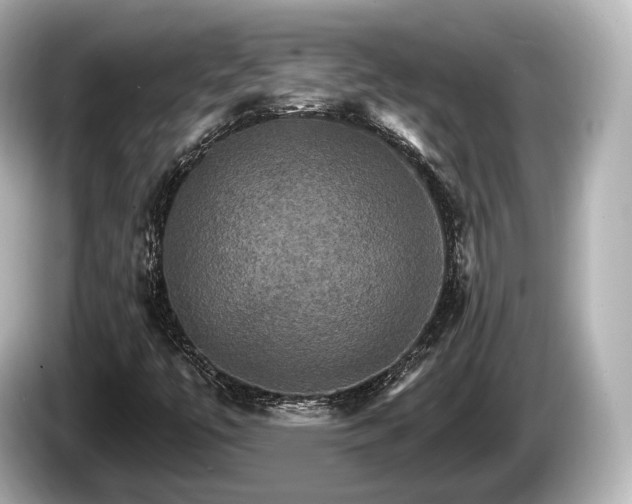 X0000085301447200703161425