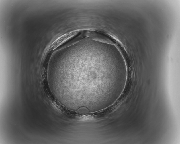 X0000085301448200703161425